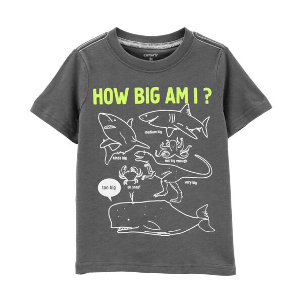 Remera Carters how big am i